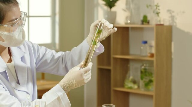 A wooden shelf housing other instruments and plants is seen behind the scientist in this perfect footage of a laboratory setting, who is holding a tube with a herbal solution inside for inspection.