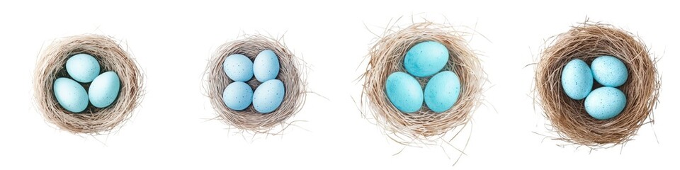 Fototapeta premium Vibrant watercolor clipart featuring intricate details, ideal for creative projects, enhancing designs with colorful artistic elements.