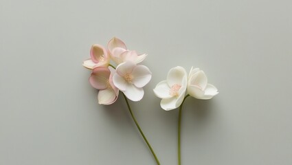 Elegance in Simplicity