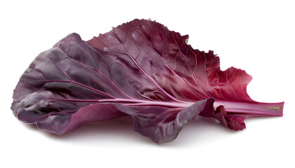 Fresh red cabbage leaf isolated on white