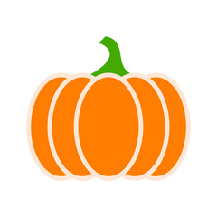 Pumpkin isolated on white background, Thanksgiving flat color icon for apps and websites