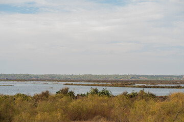 Marismas del Duque en Ayamonte © Malia
