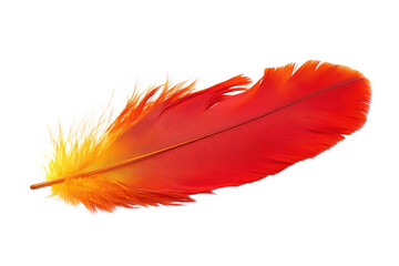 Stunning Isolated Phoenix Feather on transparent Background Ideal for Creative Projects and Digital Art Inspiration