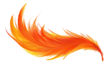 Stunning Isolated Phoenix Feather on transparent Background Ideal for Magical and Mystical Artworks and Designs
