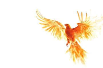Obraz premium Phoenix Rising: A Stunning Isolated Image Symbolizing Rebirth and Renewal on a transparent Background
