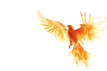 Phoenix Rising: A Stunning Isolated Image Symbolizing Rebirth and Renewal on a transparent Background