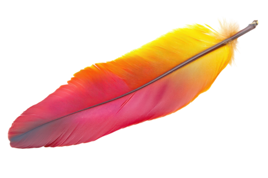 Stunning Isolated Phoenix Feather on transparent Background Ideal for Fantasy Illustrations and Creative Designs