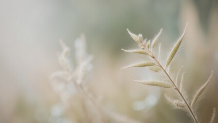 Obraz premium Growth and Renewal in Nature's Subtle Beauty.