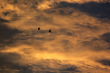 sunset with clouds over  the village in india