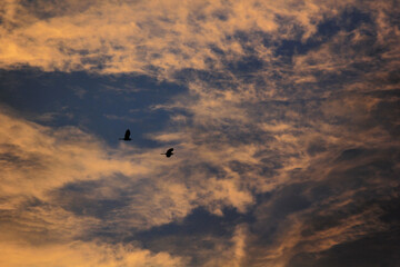 sunrise over the clouds in morning in village in india