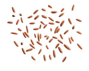 brown long rice on transparent background