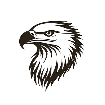 recommend clip art: A black and white line art illustration of an eagle's head with a sharp beak and focused eyes, facing left.