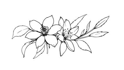 Flowers Line Art Vector Drawing. Linear Drawing of Floral Contour Ornament. Flowers with Leaves Branch Black Sketch Illustration on White Background