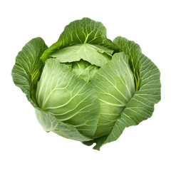 Obraz premium Freshly harvested green cabbage displayed on a plain transparent background, showcasing its vibrant leaves and natural texture, Fresh cabbage on transparent background