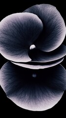 A closeup shot of rich velvety violet hydrangeas with deep purple petals arranged in a layered lush bouquet, using a monochromatic palette to highlight the depth and texture of the flowers.