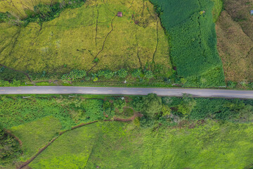 Aerial view in the morning of a road through a lush green forest leading to a rural village.