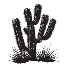 cactus in the desert