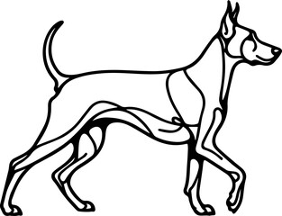 Black Line Art Style Doberman Dog Calm Walking Pose Hand Drawn Illustration