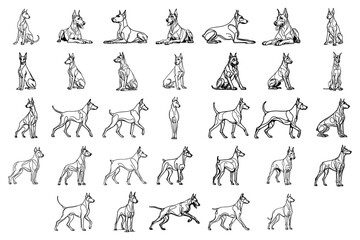 Black Line Art Style Doberman Dog Calm Hand Drawn Illustration