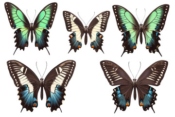Naklejka premium Colorful butterfly collection, white isolated background. isolated on transparent background.