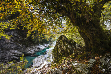 The incredible valley of wild nature, beauty and pure and truly cold river Soča in Triglav National Park, Slovenia.