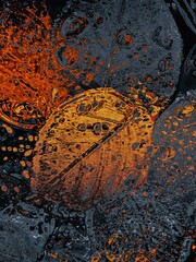 Vibrant Abstract Art of Orange and Dark Leaves with Water Droplets Showcasing Textured Intricacy and Bold Natural Design in a Creative Composition.