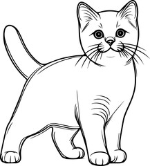 Black Line Art Style Small Pet Cat Cutie and Stand Pose Hand Drawn Illustration