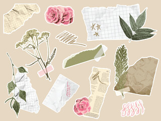 Paper cut elements. Botanical collage with scrapbook torn paper pieces, scribbles, branches with leaves and flowers. Coquette aesthetic journal floral design vector set.
