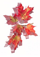 A Creative Exploration of Autumn's Vibrant Colors with Textured Depth and Artistic Expression, Celebrating Nature's Seasonal Transformation