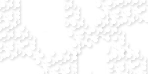 Abstract white minimal hexagon, modern abstract vector polygonal pattern. Futuristic abstract honeycomb technology white background. Luxury white hexagon pattern.
