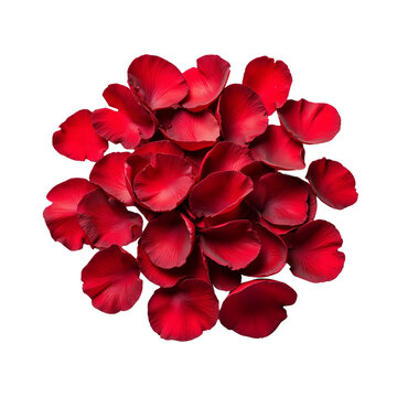 Close-Up of Vibrant Red Rose Petals Piled Together on a Surface