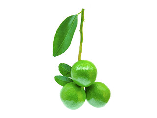 Lime with leaf isolated on white background.