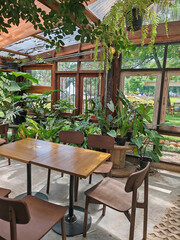 Restaurant greenhouse interior of greenery plant by lunch table.