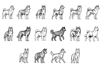 Black Grunge Style Line Art Husky Dog Walking Pose Hand Drawn Illustration