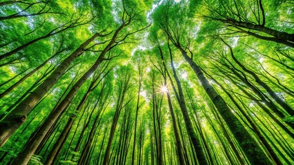 Green forest vertical background texture shot from a low angle