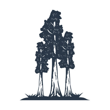 Tree Illustration