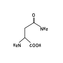 chemical structure of or asparagine  illustration