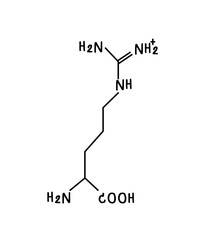 chemical structure of or arginine  illustration