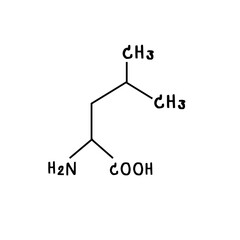 chemical structure of or Leucine illustration