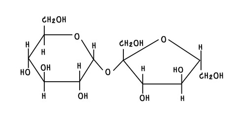 chemical structure of or sucrose  illustration