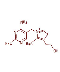 chemical structure of Vitamin B1 or Thiamine illustration
