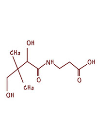 chemical structure of vitamin b5 or Pantothenic acid illustration