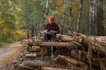 Lumberjack checking tree trunks in forest