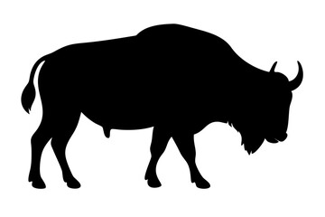 Buffalo silhouette on vector illustration