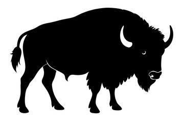 Buffalo silhouette on vector illustration