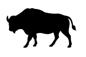 Buffalo silhouette on vector illustration