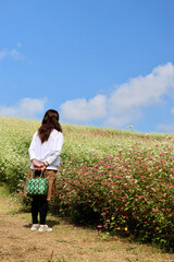 白とピンクのそばの花の丘を散歩する女性　満開のそばの花　青空と白いそばの花の美しいコントラストが印象的な風景