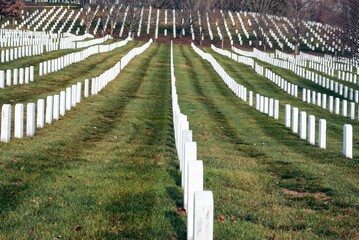 A large field of white headstones with a green grassy background