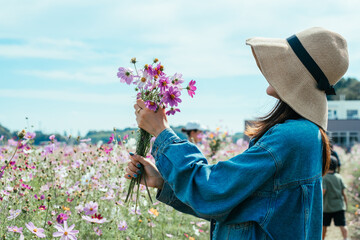 江ヶ崎コスモス畑に咲くコスモスの花