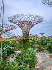 Vue générale de la baie de Singapour